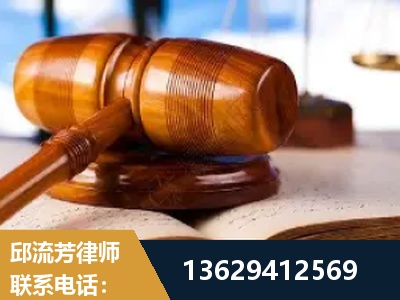 芒-刑事案件