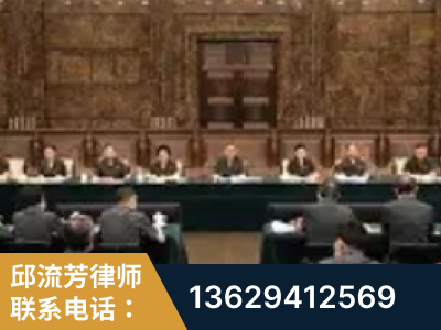 芒-疑难刑事案件处理