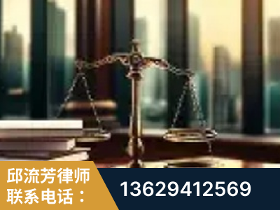 芒-重大刑事案件处理
