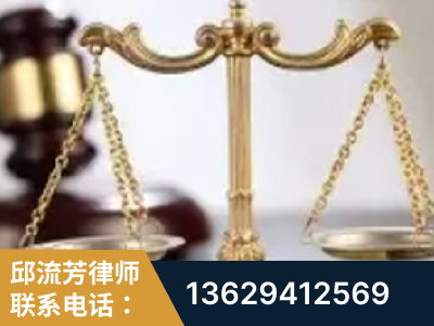 芒-委托诉讼代理人出庭